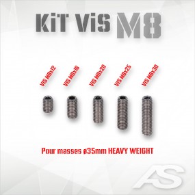 KIT VIS M8 MASSES HW
